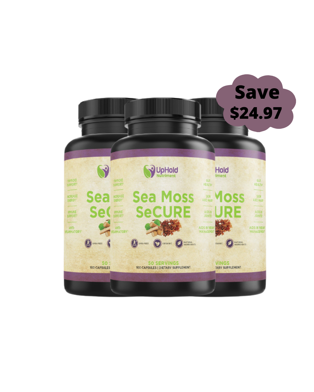 Sea Moss Secure (3 Bottles Monthly Subscription)